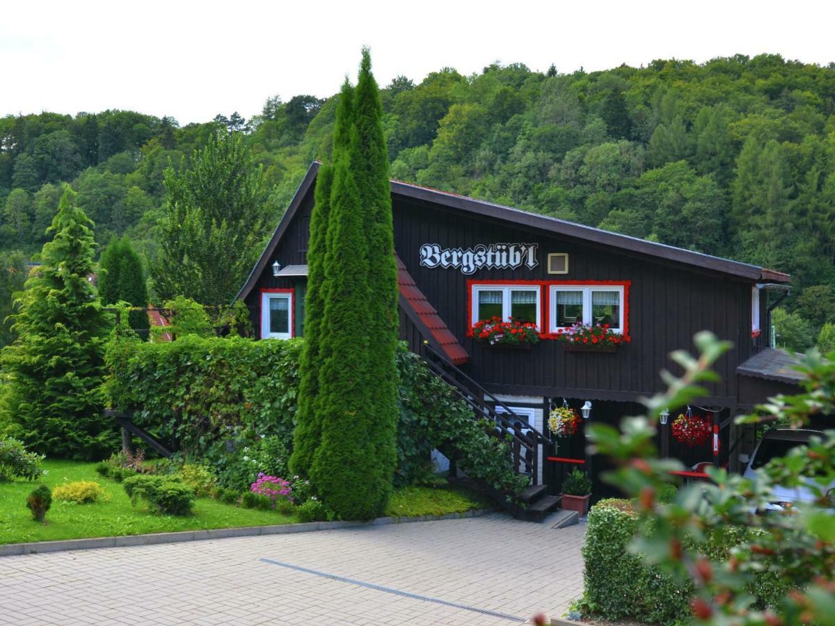 Quaint Holiday Home In Elbingerode Near Forest Neuwerk  Extérieur photo